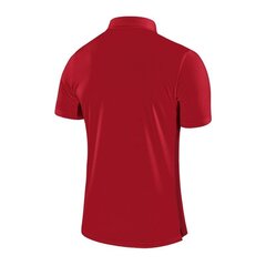 Nike мужская спортивная футболка Dry Academy 18 Polo M 899984- 657 (47401), красная цена и информация | Мужская спортивная одежда | pigu.lt