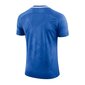 Sportiniai marškinėliai vyrams Nike Challenge II SS M 893964-463, 47422 kaina ir informacija | Sportinė apranga vyrams | pigu.lt