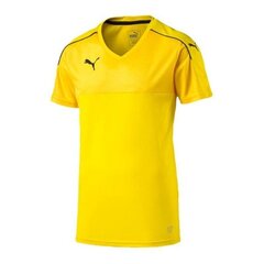 Спортивная футболка мужская Puma Accuracy M 702214-07, 47425 цена и информация | Мужская спортивная одежда | pigu.lt