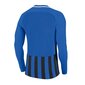 Sportiniai marškinėliai vyrams Nike Striped Division III LS M 894087 463 kaina ir informacija | Sportinė apranga vyrams | pigu.lt