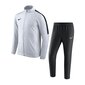 Sportinis kostiumas berniukams Nike JR Academy 18 893805-100 (47446) kaina ir informacija | Kelnės berniukams | pigu.lt