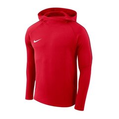 Джемпер для мальчиков Nike Dry Academy 18 PO Jr AJ0109- 657 (47582) цена и информация | Свитеры, жилетки, пиджаки для мальчиков | pigu.lt