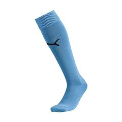 Спортивные носки мужские Puma Team II 702565-25, 47615, синие цена и информация | Мужские носки | pigu.lt