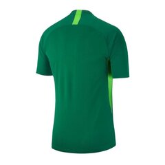 Спортивная футболка для мальчиков Nike Legend SS Junior AJ1010-302, зеленая цена и информация | Рубашки для мальчиков | pigu.lt