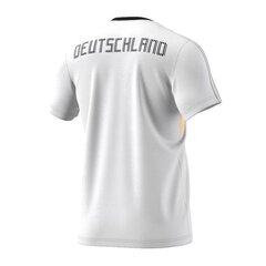 Спортивная футболка мужская adidas DFB Ci TEE M CF1734 цена и информация | Мужская спортивная одежда | pigu.lt