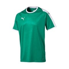 Спортивная футболка мужская Puma Liga M 703417 05 цена и информация | Мужская спортивная одежда | pigu.lt