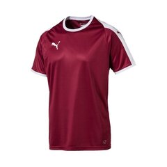 Спортивная футболка мужская Puma Liga M 703417 09 цена и информация | Мужская спортивная одежда | pigu.lt