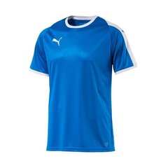 Спортивная футболка мужская Puma LIGA M 703417 02 цена и информация | Мужские термобрюки, темно-синие, SMA61007 | pigu.lt