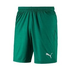 Футбольные шорты Puma Liga Shorts Core Pepper Green цена и информация | Мужские термобрюки, темно-синие, SMA61007 | pigu.lt