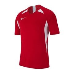 Sportiniai marškinėliai vyrams Nike Legend SS M AJ0998-657, 48159 kaina ir informacija | Sportinė apranga vyrams | pigu.lt