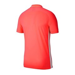 Sportiniai marškinėliai vyrams Nike Dry Academy 19 Polo M BQ1496-671, 48222 kaina ir informacija | Sportinė apranga vyrams | pigu.lt