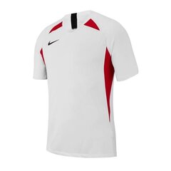 Футболка спортивная мужская Nike Legend SS M AJ0998-101, белая цена и информация | Мужская спортивная одежда | pigu.lt