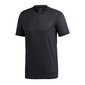 Sportiniai marškinėliai vyrams, Adidas TERREX Tivid Tee M CZ0160 juoda kaina ir informacija | Sportinė apranga vyrams | pigu.lt