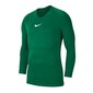 Termo marškinėliai vyrams Nike žalia цена и информация | Vyriški termo apatiniai | pigu.lt