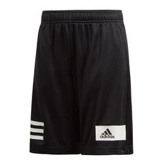 Спортивные шорты для мальчиков Adidas Climacool TR Short Junior DV1363 цена и информация | Шорты для мальчиков | pigu.lt