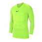Sportiniai marškinėliai vyrams Nike Dry Park First Layer M AV2609 702, geltoni kaina ir informacija | Sportinė apranga vyrams | pigu.lt