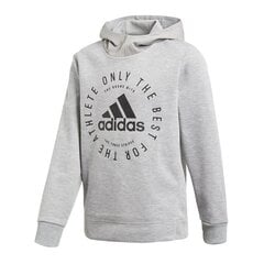 Джемпер для мальчиков Adidas Sport ID HD Junior DV1701, серый цена и информация | Свитеры, жилетки, пиджаки для мальчиков | pigu.lt