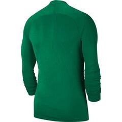 Спортивная футболка для мальчиков Nike Dry Park JR AV2611 302, зеленая цена и информация | Рубашка для мальчиков | pigu.lt