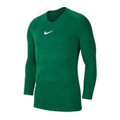 Спортивная футболка для мальчиков Nike Dry Park JR AV2611 302, зеленая цена и информация | Рубашка для мальчиков | pigu.lt