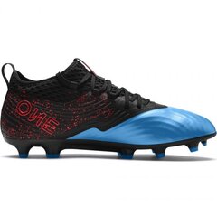 Futbolo bateliai Puma One 19.2FG AG M 105 484 01 kaina ir informacija | Puma Futbolas | pigu.lt