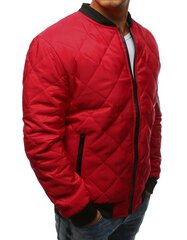 Куртка мужская Bomber, красная цена и информация | Мужские куртки | pigu.lt