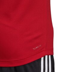 Спортивная футболка мужская adidas D2M Tee 3S M EI5652 цена и информация | Мужская спортивная одежда | pigu.lt