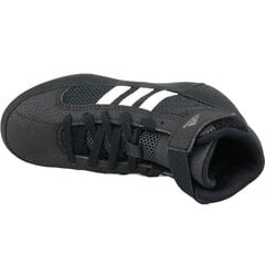 Кеды для тренировок для мальчиков Adidas Havoc K Jr AQ3327 (49208), черные цена и информация | Детская спортивная обувь | pigu.lt