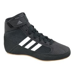 Кеды для тренировок для мальчиков Adidas Havoc K Jr AQ3327 (49208), черные цена и информация | Детская спортивная обувь | pigu.lt