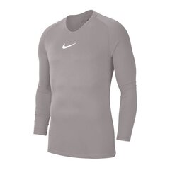Футболка мужская Nike, серая цена и информация | Рубашки для мальчиков | pigu.lt