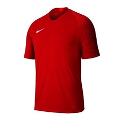 Sportiniai marškinėliai berniukams Nike Dri Fit Strike SS Top JR AJ1027-657, 49257 kaina ir informacija | Marškinėliai berniukams | pigu.lt