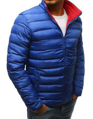 Куртка Ana, синий цена и информация | Мужские куртки | pigu.lt