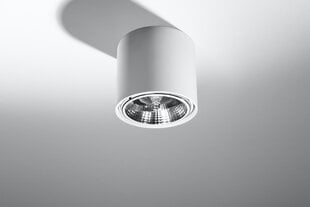 Sollux lubinis šviestuvas Tiube White kaina ir informacija | Lubiniai šviestuvai | pigu.lt