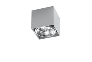 Sollux потолочный светильник Blake Grey цена и информация | Люстры | pigu.lt