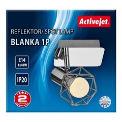 Activejet настенный светильник AJE-Blanka Silver 1P цена и информация | Настенные светильники | pigu.lt