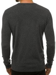 Megztinis vyrams Entoni, pilkas цена и информация | Мужские свитера | pigu.lt