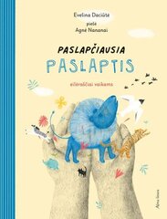 Paslapčiausia paslaptis цена и информация | Книги для детей | pigu.lt