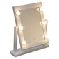 LED kosmetinis veidrodis Hollywood 37x40 cm kaina ir informacija | Vonios kambario aksesuarai | pigu.lt