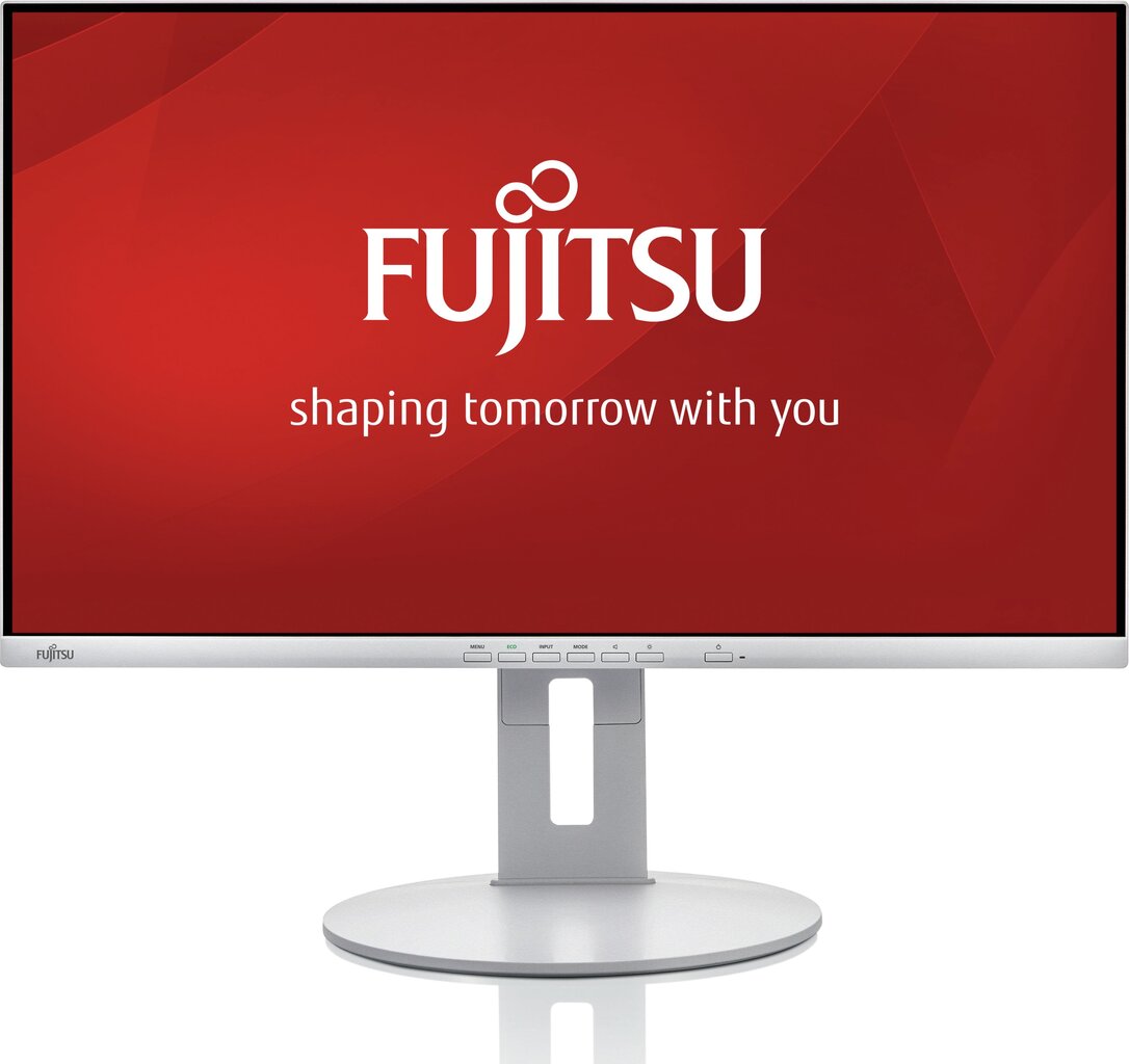 Fujitsu S26361-K1694-V140 kaina ir informacija | Monitoriai | pigu.lt