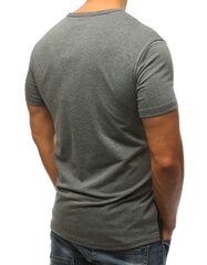 Marškinėliai Larton, pilki kaina ir informacija | Vyriški marškinėliai | pigu.lt
