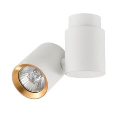 Light Prestige потолочный светильник Boston 1 White/Gold цена и информация | Потолочные светильники | pigu.lt