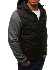 Куртка мужская с капюшоном Nomad, серая цена и информация | Мужские куртки | pigu.lt