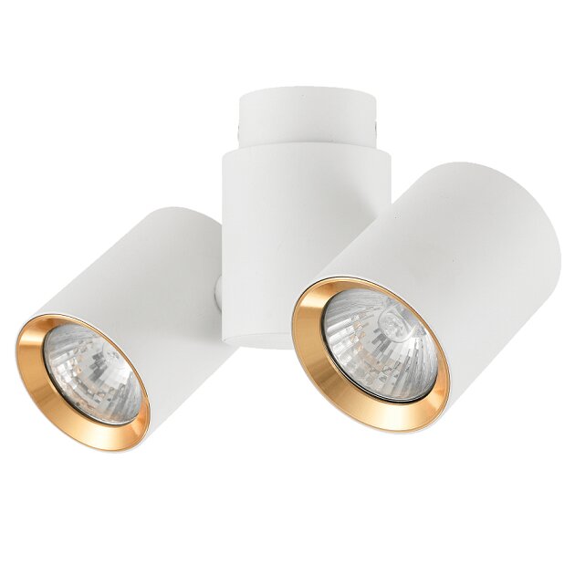 Light Prestige lubinis šviestuvas Boston 2 White/Gold kaina ir informacija | Lubiniai šviestuvai | pigu.lt