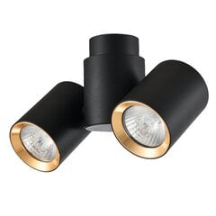 Light Prestige lubinis šviestuvas Boston 2 Black/Gold kaina ir informacija | Lubiniai šviestuvai | pigu.lt