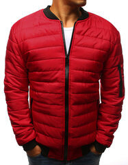Куртка мужская Emily, красная цена и информация | Мужские куртки | pigu.lt