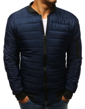 Куртка мужская Minti, синяя цена и информация | Мужские куртки | pigu.lt