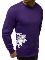 Džemperis vyrams Vytis, violetinis цена и информация | Мужские толстовки | pigu.lt