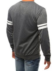 Vyriškas tamsiai pilkos spalvos džemperis "Romant" цена и информация | Мужские толстовки | pigu.lt