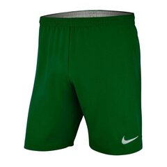 Šortai vyrams Nike, žali kaina ir informacija | Sportinė apranga vyrams | pigu.lt