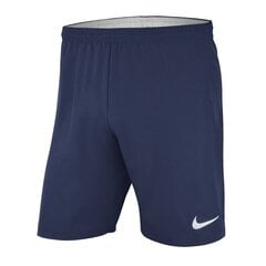 Спортивные шорты для мужчин Nike, синие цена и информация | Мужские термобрюки, темно-синие, SMA61007 | pigu.lt