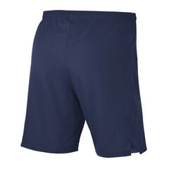 Спортивные шорты для мужчин Nike, синие цена и информация | Мужская спортивная одежда | pigu.lt